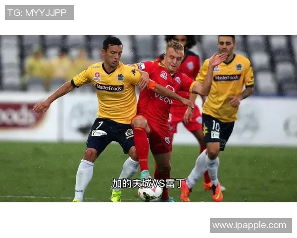 加的夫城与雷丁的激烈对决展现英冠联赛的精彩与悬念